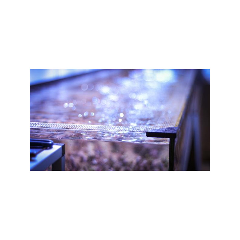 Banana Aquarium Fishguard - siatka