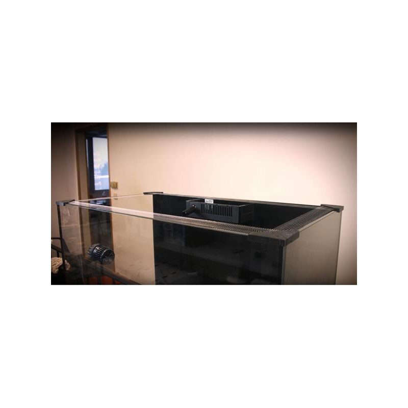 Banana Aquarium Fishguard - siatka