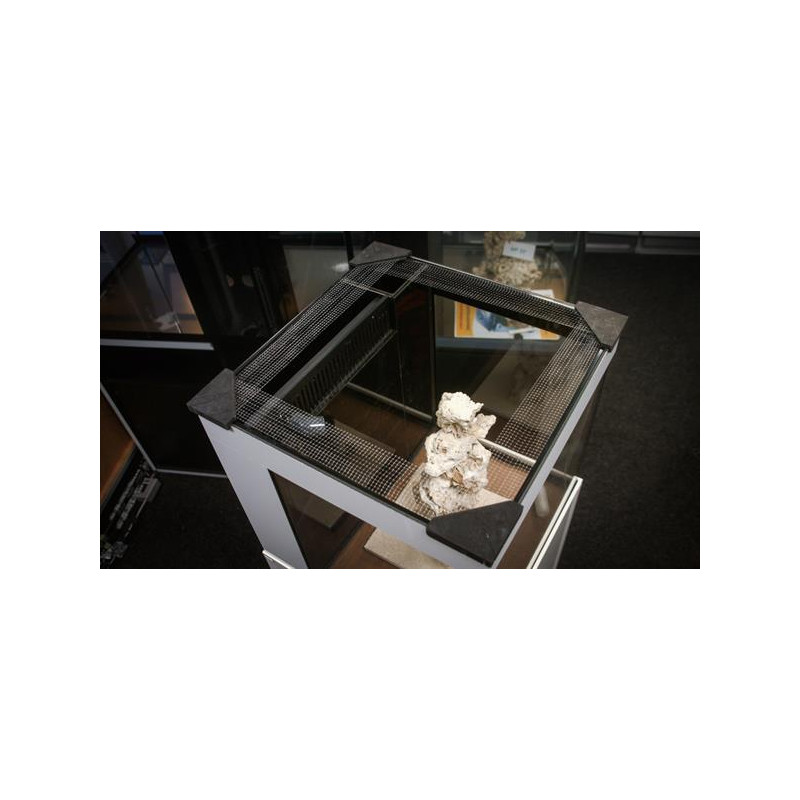 Banana Aquarium Fishguard - siatka