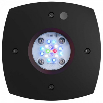 AI Prime 16HD - 16-LEDowe oświetlenie akwarium, czarne (~ 55W)