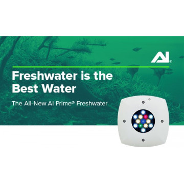 AI Prime Freshwater - 13-LED- biały DEMO 1 Miesiąc