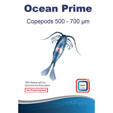 Ocean Prime Copepods 500-700 micron