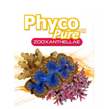 PhycoPure (TM) Zooxanthellae - odżywka dla koralowców i małży