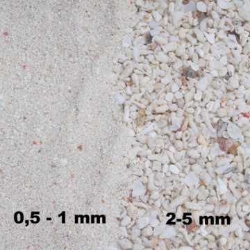 Blue Treasure Premium Live Sand 5kg - żywy piasek