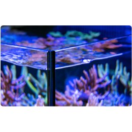 Red Sea Max Nano Peninsula Reef System 100L - Akwarium morskie