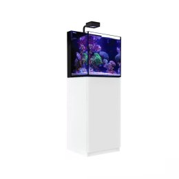 Red Sea Max Nano Cube Reef System 75L - Akwarium morskie z szafką białą