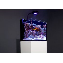 Red Sea Max Nano Cube Reef System 75L - Akwarium morskie