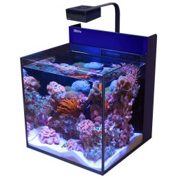 Red Sea Max Nano Cube Reef System 75L - Akwarium morskie