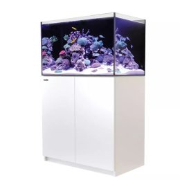 REEFER G2+ 250 Complete System - White