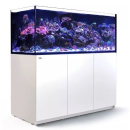 Red Sea REEFER G2+ XXL 625 Complete System zestaw akwarium z białą szafką