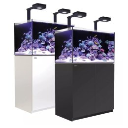 Red Sea REEFER G2+ 250 Delux System zestaw akwarium z białą szafką