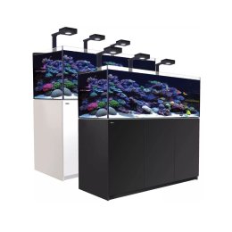 Red Sea REEFER G2+ XL 525 Delux System zestaw akwarium z czarną szafką