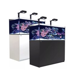 Red Sea REEFER G2+ XL 525 Deluxe System zestaw akwarium z czarną szafką