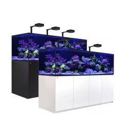 Red Sea Reefer G2+ S 1000 Deluxe System zestaw akwarium z czarną szafką