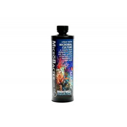 Brightwell Aquatics MicroBacter Clean 500ml - bakterie do akwarium