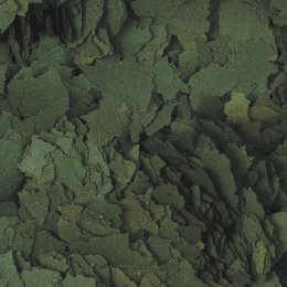 Tropical SUPER SPIRULINA FORTE 36% 11L/2KG