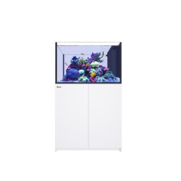 Red Sea Reefer Peninsula G3 350 Complete System zestaw akwarium z białą szafką