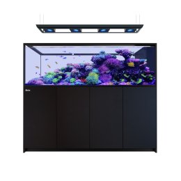 Red Sea Reefer Peninsula G3 950 Deluxe System zestaw akwarium z czarną szafką