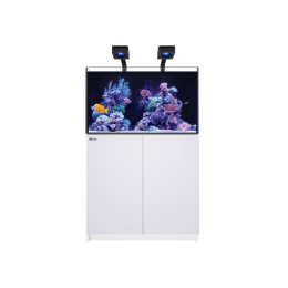Red Sea REEFER G3 250 Deluxe System zestaw akwarium z białą szafką
