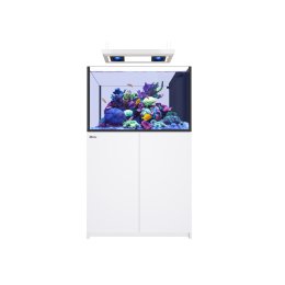 Red Sea Reefer Peninsula G3 350 Deluxe System zestaw akwarium z białą szafką
