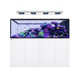Red Sea Reefer Peninsula G3 950 Deluxe System zestaw akwarium z białą szafką