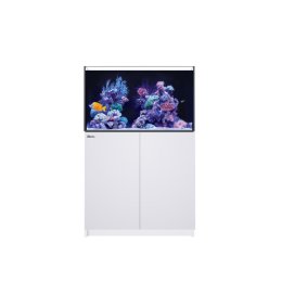 PROMOCJA RED SEA REEFER 250 G2+ WHITE