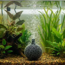 SunSun ZY-1030 Kamień Napowietrzający 3cm | Ceramiczny Dyfuzor Powietrza