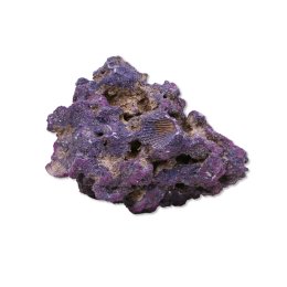 CaribSea LifeRock Original 18,14 kg Naturalna Skała Ożywiona do Akwarium Morskiego