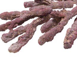 CaribSea LifeRock Belize Branch 9,07 kg Rozgałęziona Skała do Budowy Unikalnej Rafy