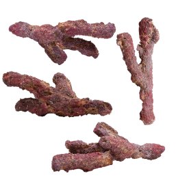 CaribSea LifeRock Belize Branch 9,07 kg Rozgałęziona Skała do Budowy Unikalnej Rafy