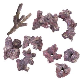 CaribSea LifeRock Dreamscapes Box 8,2 kg Gotowa Ożywiona Skała do Aquascapingu