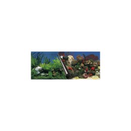 Tło do akwarium dwustronne 80x40 cm – Motyw Skały / Rafa Koralowa