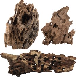 Korzeń Smocze drewno S 10-30cm 1 kg