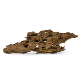 Naturalny Korzeń Cięty Shrimp Wood do Akwarium i Terrarium 1kg