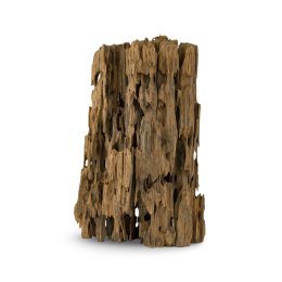 Naturalny Korzeń Cięty Shrimp Wood do Akwarium i Terrarium 1kg