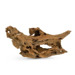 Naturalny Korzeń Cięty Shrimp Wood do Akwarium i Terrarium 1kg