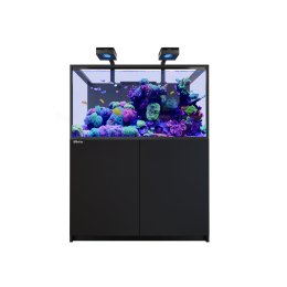 Red Sea Reefer G3 S 550 Deluxe System zestaw akwarium z czarną szafką