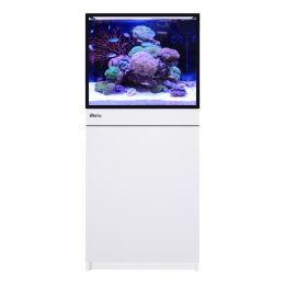 Red Sea REEF-FRAME 170 akwarium morskie z sumpem i białą szafką