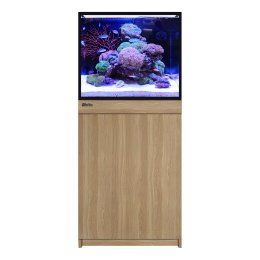 Red Sea REEF-FRAME 170 akwarium morskie z sumpem i szafką w kolorze dębu