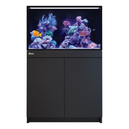 Red Sea REEF-FRAME 250 akwarium morskie z sumpem i czarną szafką