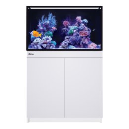 Red Sea REEF-FRAME 250 akwarium morskie z sumpem i białą szafką
