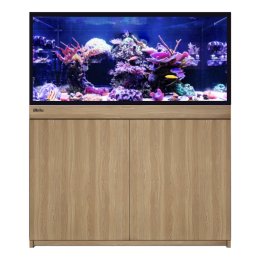 Red Sea REEF-FRAME 350 akwarium morskie z sumpem i szafką w kolorze dębu