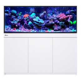 Red Sea REEF-FRAME 500 akwarium morskie z sumpem i białą szafką