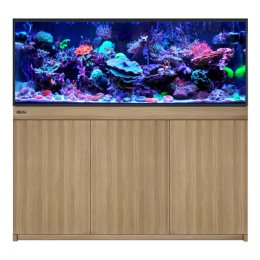 Red Sea REEF-FRAME 500 akwarium morskie z sumpem i szafką w kolorze dębu