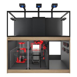 Red Sea REEF-FRAME MAX 500 zestaw akwarium morskiego, szafka kolor dąb