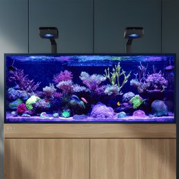 Red Sea REEF-FRAME MAX 170 zestaw akwarium morskiego, szafka kolor dąb – aranżacja poglądowa