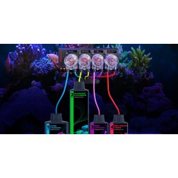 Red Sea ReefDose 4 WiFi pompa dozująca 4-kanałowa – dozowanie ballingu Red Sea Reef Care w akwarium morskim