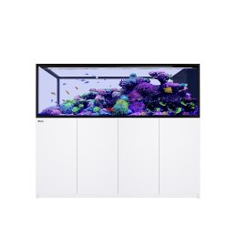Red Sea REEFER Peninsula S-950 G3+ zestaw akwarium z białą szafką