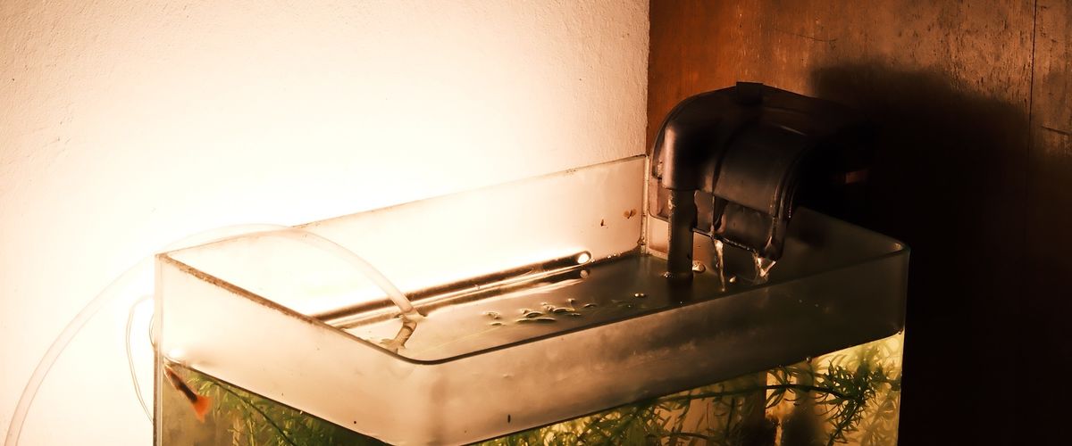 Jakie są najczęstsze problemy z filtrami w akwarium i jak je rozwiązać?
