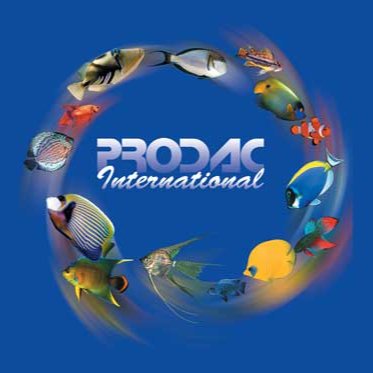 PRO.D.AC International S.r.l.